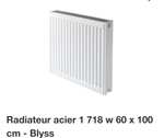 Radiateur Acier Blys C22 - 60 x 100 cm- 60 x 100 cm, 1718W - Villemandeur (45)