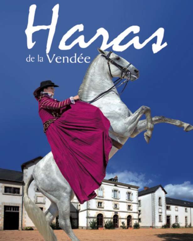 Entrée et Animations Gratuites (hors grand spectacle équestre) pour toute la famille au Haras de la Vendée - La Roche-sur-Yon (85)