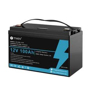Batterie TTWEN LiFePO4 - 12V / 100Ah, 1280 Wh (Entrepôt EU)