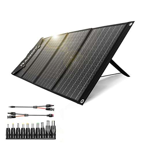 Panneau solaire portable pliable Raddy SP120 (vendeur tiers)