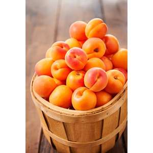Abricots - Origine France, le colis de 5kg