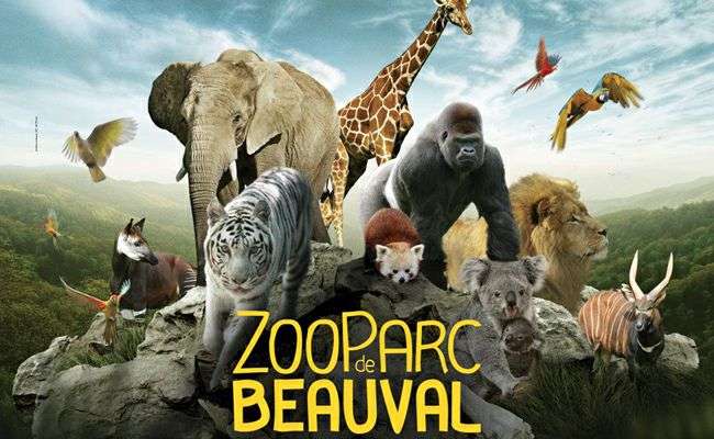 Billet Adulte pour le ZooParc de Beauval au prix du Billet Enfant (Gratuit pour les moins de 3 ans)