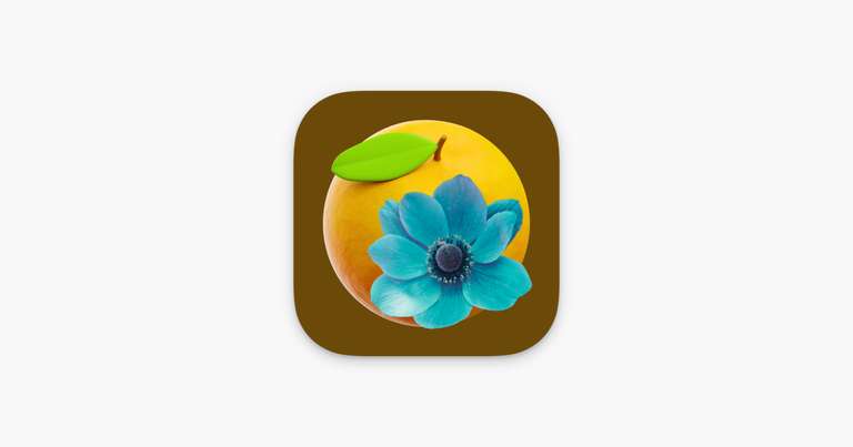 Application Orange & Teal sur iOS