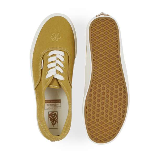 Chaussures homme Vans authentic eco theory