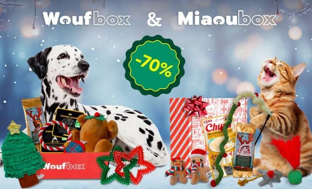 Coffret cadeaux de noël Miaoubox ou Woufbox –