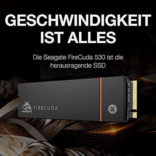 SSD Interne M.2 NVMe Seagate FireCuda 530 - 1 To, Compatible PS5, Avec dissipateur, Jusqu'à 7300-6000 Mo/s