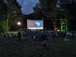 Projections gratuites de films en forêts des Hauts-de-France, d’Île-de-France & de Normandie - Festival Branche & Ciné 2023