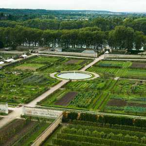 Visite Gratuite du Potager du Roi lors de divers évènements - Versailles (78)