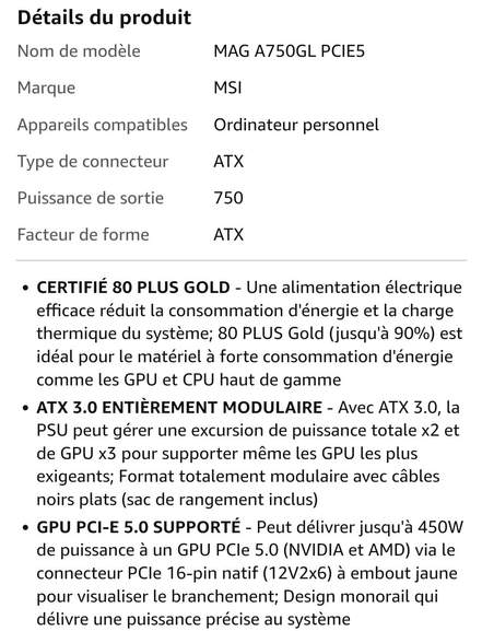 Alimentation ATX MSI Mag A750GL PCIe5 - 750W (Noir)