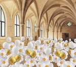Le Grand Jardin Culturel: 3500 ballons porteurs de cadeaux culturels à cueillir au Collège des Bernardins - Paris (75)