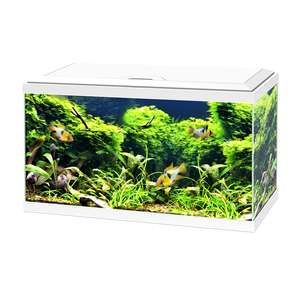 Aquarium Ciano - Blanc, 60 LEDs, 60 x 30 x 32 cm