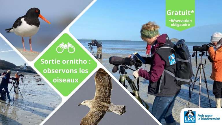 Sorties à Marée basse et Ornithologiques (sur réservation) & Entrée à la Station LPO & son musée gratuites - Pleumeur-Bodou (22)