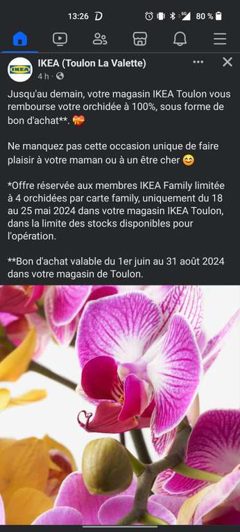 [Membres] Orchidée 100% remboursée - Toulon (83)