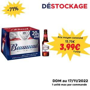 Pack de 20 Bières Bud - 20 x 25cl, DLUO dépassée (minimum de commande 15€)