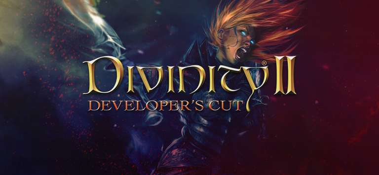 Jeu Divinity 2: Developer's Cut sur PC (Dématérialisé)