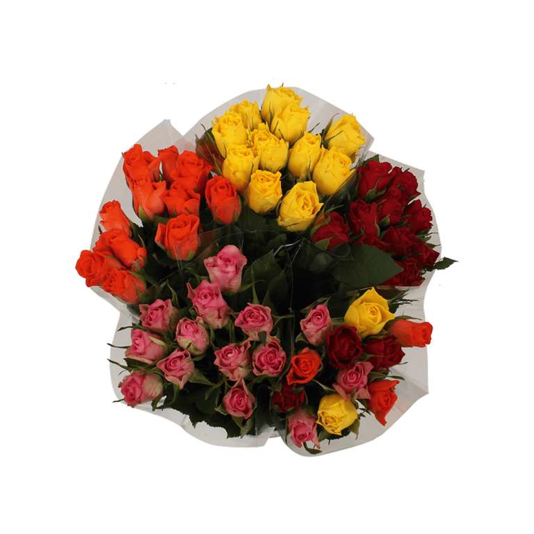 Bouquet de 11 roses - différents coloris, 40 cm