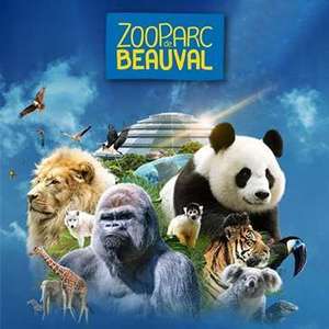 Billet 1 jour au Zoo de Beauval pour une visite entre le mardi 29 novembre 2022 au vendredi 3 février 2023