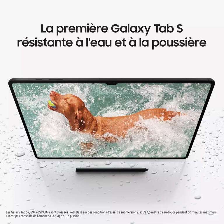 Tablette 14,6" Samsung Galaxy Tab S9 Ultra 256 Go (via remise au panier 120€ + bonus reprise 250€ + ODR Samsung 200€)