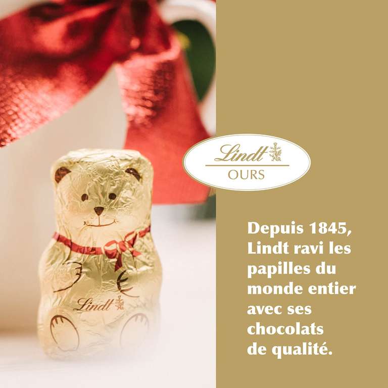 Teddy en chocolat avec chandail de Noël, 100 g, chocolat au lait – Lindt :  Boite