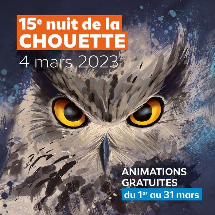 Sorties nature, Activités et Animations gratuites pour mieux connaître les rapaces nocturnes - La Nuit de la Chouette 2023