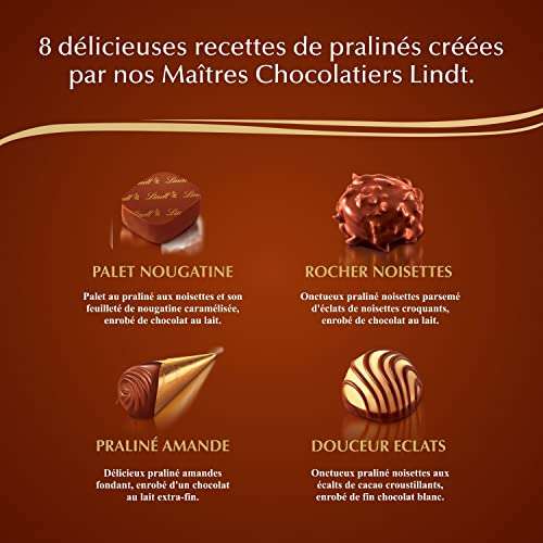 Boîte Connaisseurs Pralinés Lindt - Assortiment de Chocolats au Lait et Noirs Pralinés, 409g