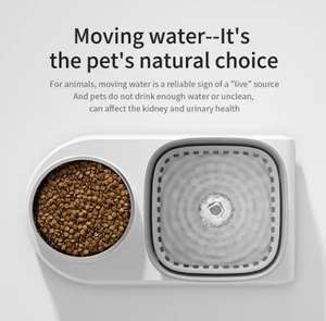 Abreuvoir et bol d'alimentation automatiques pour animaux de compagnie, fontaine à eau 2 en 1