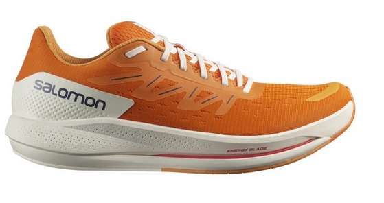 Chaussures de running Salomon Spectur - plusieurs coloris et tailles au choix