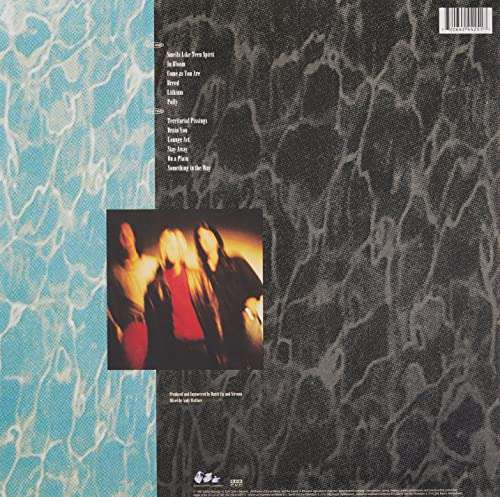 Disque vinyle LP Nirvana Nevermind (Vendeur tiers)