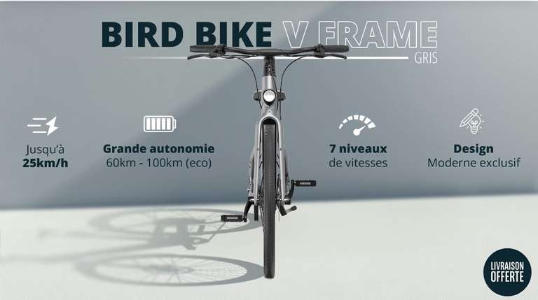 Velo Bird Bike V Frame