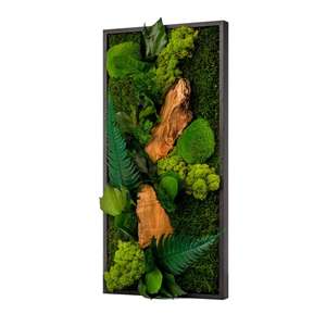Grand tableau végétaux stabilisés - 27x57 cm