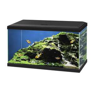 Aquarium en verre Ciano CF - noir : L.60xP.30xH.32 cm, 58 litres