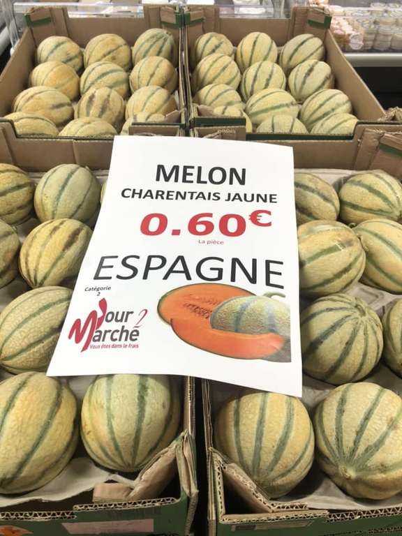 Melon charentais jaune (Espagne) - Jour 2 Marché (Montauban 82)