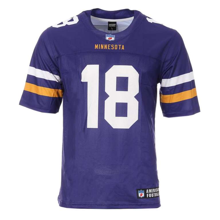 Logo gratuit des Minnesota Vikings