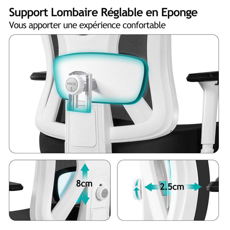 Chaise Bureau Ergonomique DoChair avec Support Lombaire et Accoudoirs Réglables (Vendeur Tiers)