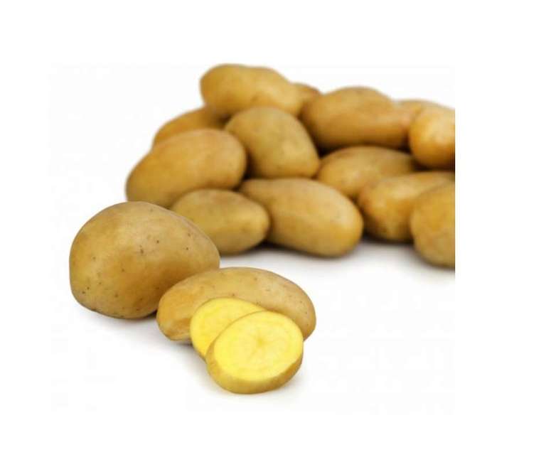 Pommes de terre de consommation lavées - 5Kg , catégorie 1, origine France