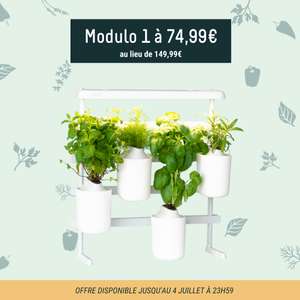 Mur végétal d'intérieur modulable et évolutif Prêt à Pousser Modulo 1 (avec 4 capsules de plantes) - PretaPousser.fr