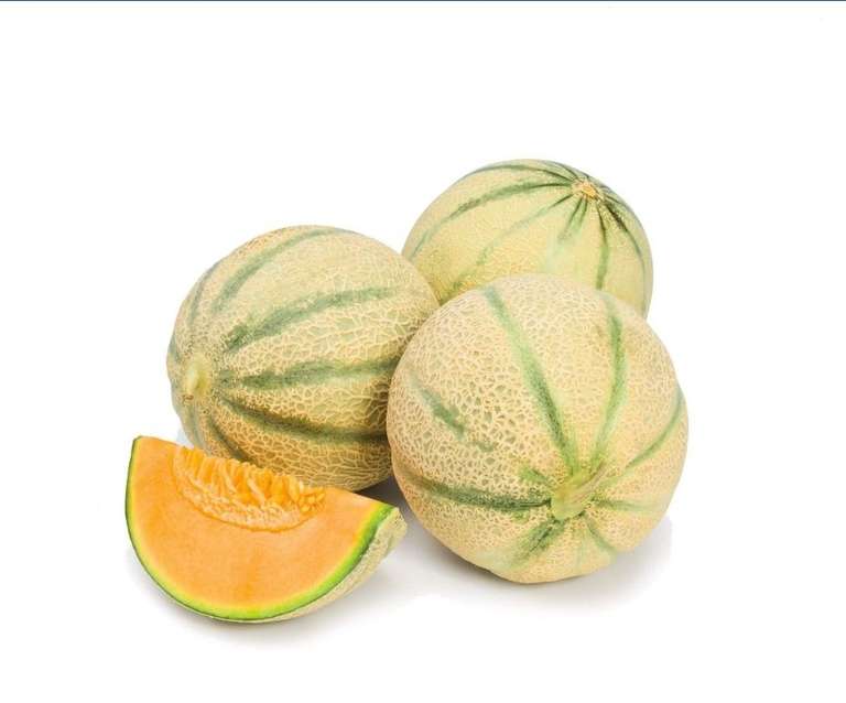 Melon charentais, Origine France