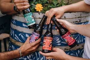 Gallia - Lot de 3 Packs de bières x12 (33cl) pour le prix de 2 (galliaparis.com)