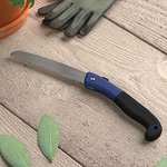 [PRIME] Scie d'élagage et de jardinage pliante en acier Amazon Basics - lame de 20,3 cm, Bleu