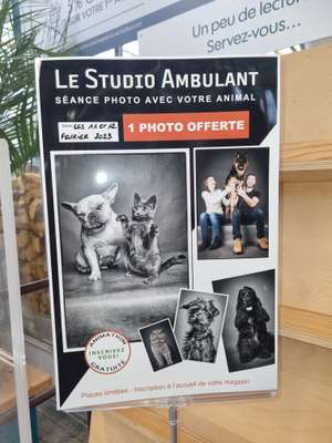 Photo avec votre animal offert - Rennes (35)
