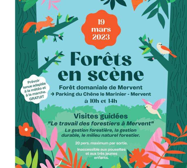 Visite guidée gratuite "Le travail des forestiers à Mervent" (Via réservation) - Mervent (85)