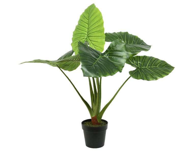 Sélection de Plantes Plastique en Promotion - Ex: Taro plastique en pot dia. 91x90cm vert