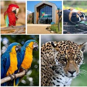 Entrée gratuite le 31 octobre au Parc animalier Parrot World pour les enfants déguisés de moins de 12 ans - Crécy-la-Chapelle (77)