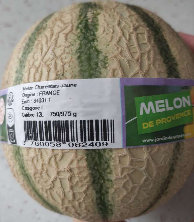 Melon Charentais - Origine France (Mareuil-lès-Meaux 77)