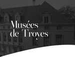 Entrée gratuite au Musée d'Art Moderne - Collections nationales Pierre et Denise Lévy - Troyes (10)
