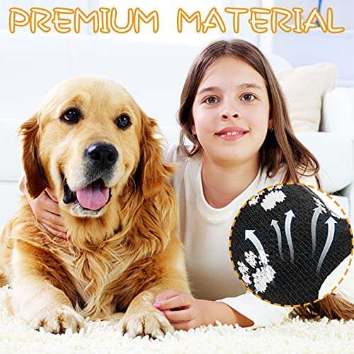 Chaussette de protection en silicone pour chien