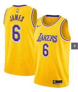 Maillot Homme Swingman Nike Icon Los Angeles Lakers - LeBron James