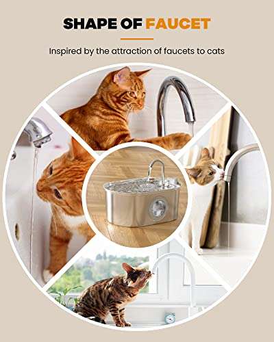 [Prime] Fontaine à eau pour chat Soofpet - 3.2 L (via coupon - vendeur tiers)