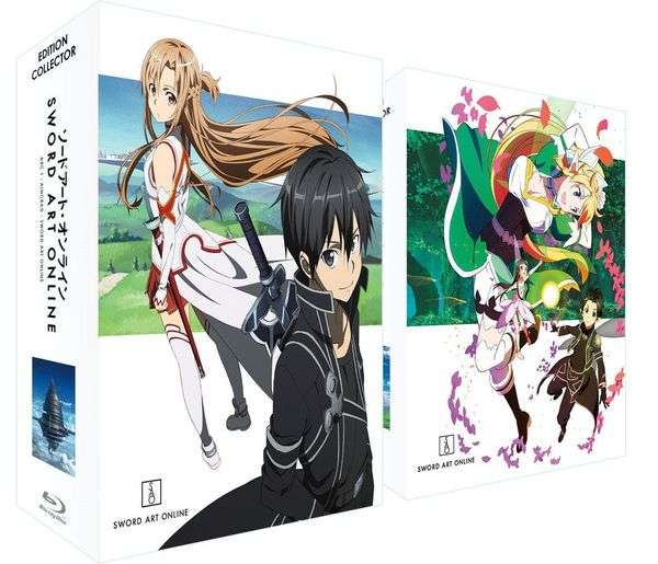 Pack 2 Coffrets Collector Blu-ray + DVD Sword Art Online - Arc 1 + 2 + contenu additionnel + 2 artbooks