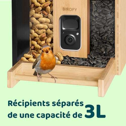 Mangeoire à Oiseaux en Bambou avec Caméra et Panneau Solaire - Birdfy Bambou Lite + Solar (Vendeur tiers)